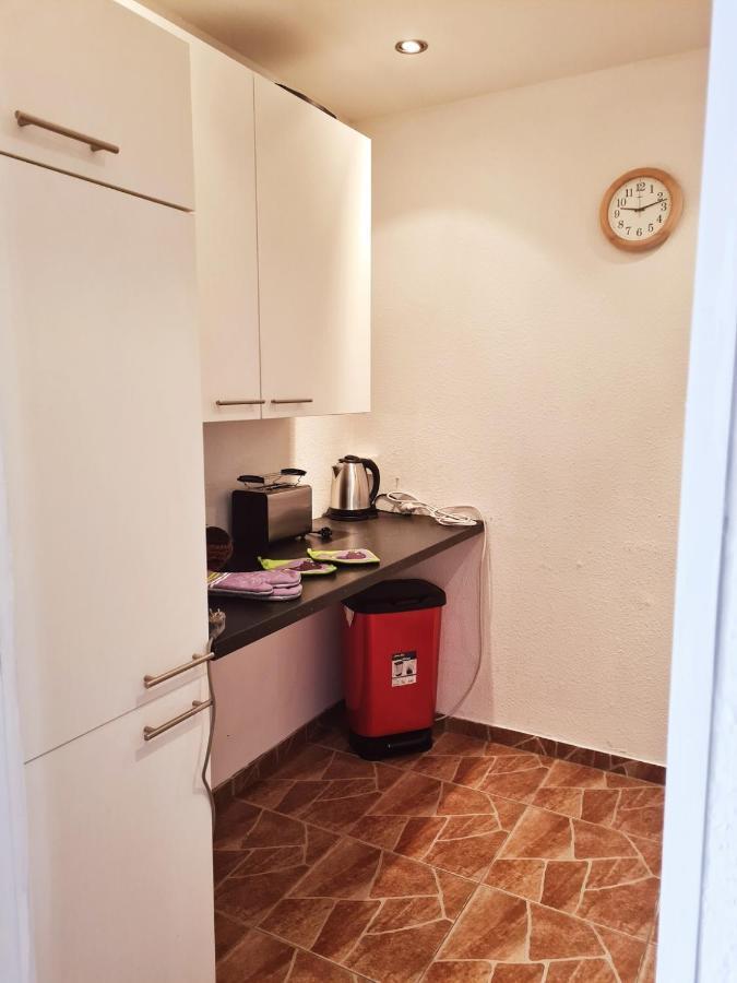 Am Rennsteig Apartment Масерберг Екстериор снимка